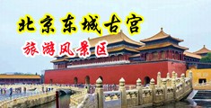 女生被男生操视频网站中国北京-东城古宫旅游风景区